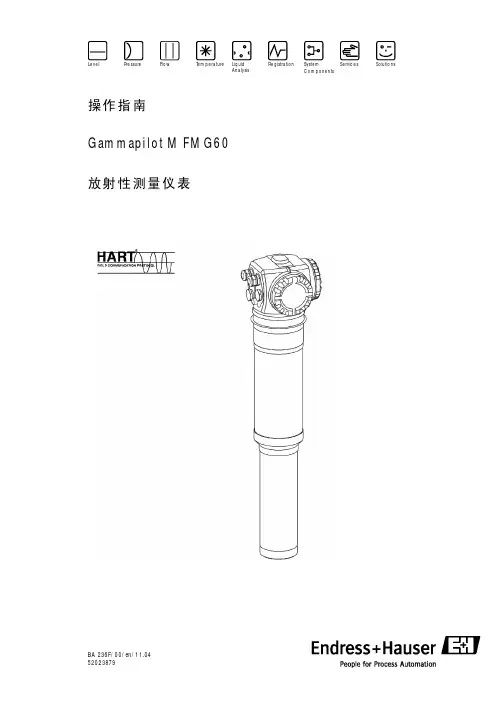 GAMMA_FMG60操作手册(中文)