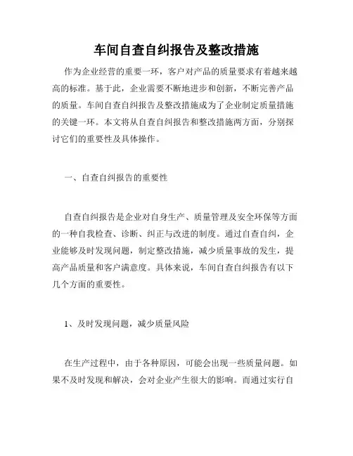 车间自查自纠报告及整改措施