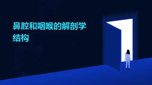 鼻腔和咽喉的解剖学结构