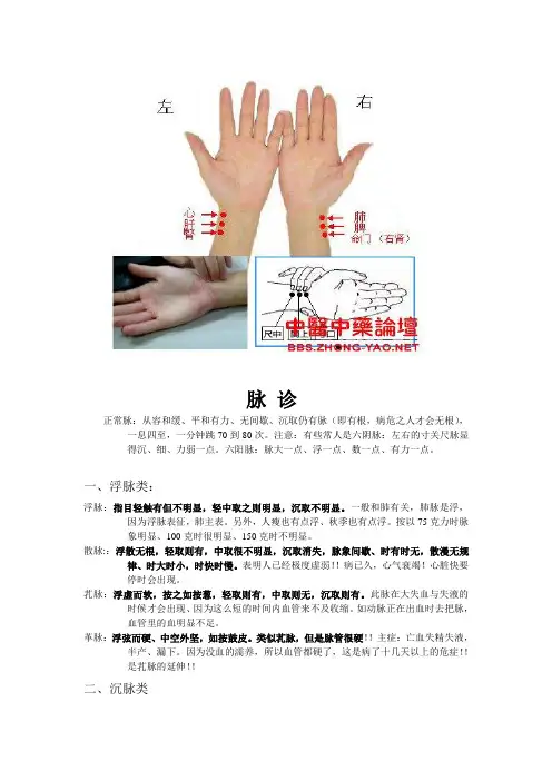 我的脉象总结
