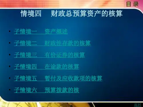 财政总预算资产的核算