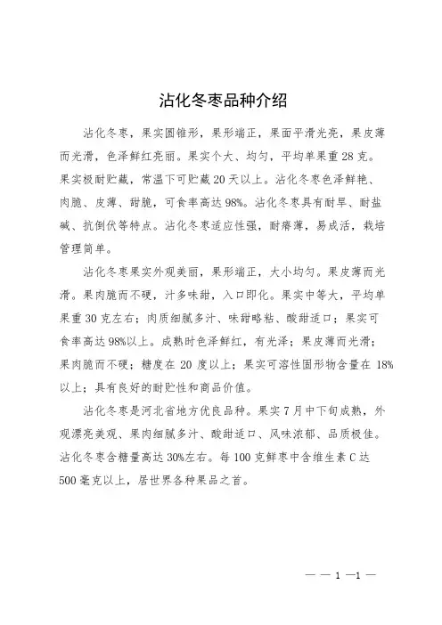 沾化冬枣品种介绍
