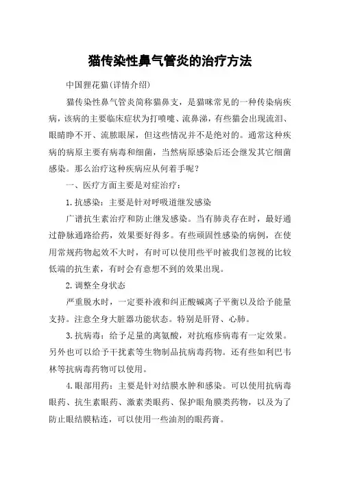 猫传染性鼻气管炎的治疗方法