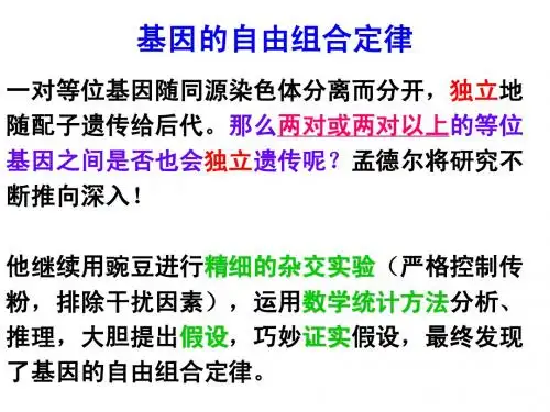 基因的自由组合定律