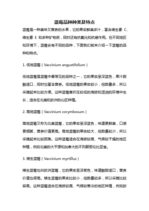 蓝莓品种种类及特点