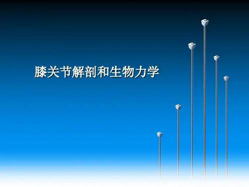 膝关节解剖和生物力学