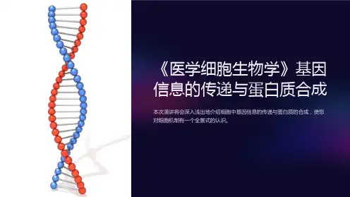 《医学细胞生物学》基因信息的传递与蛋白质合成