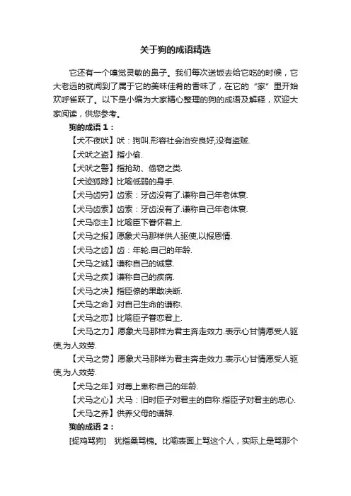 关于狗的成语精选