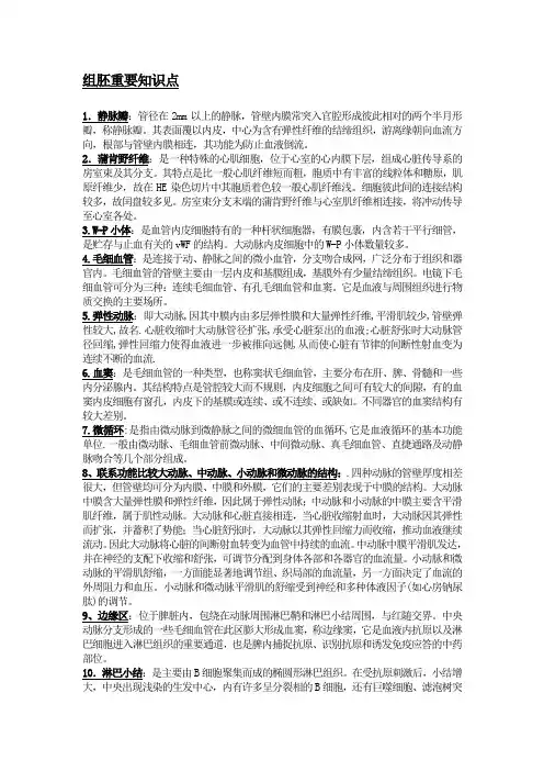 组胚学重要知识点