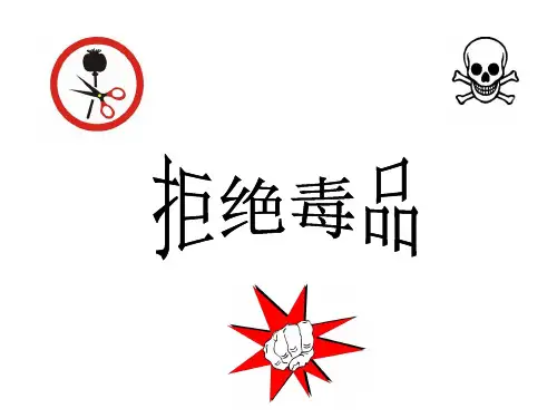苏教版生物八下26.2《拒绝毒品》 课件(共40张PPT)