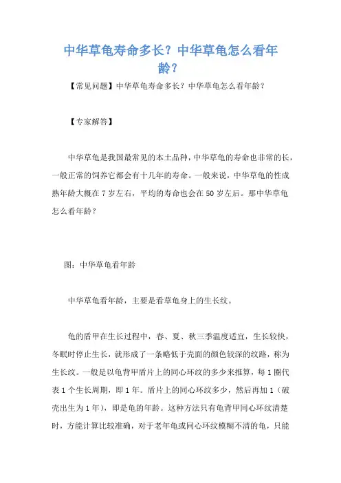 中华草龟寿命多长？中华草龟怎么看年龄？