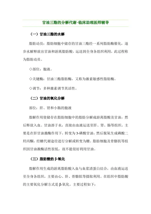 血脂、脂肪、甘油三酯的分解代谢原理