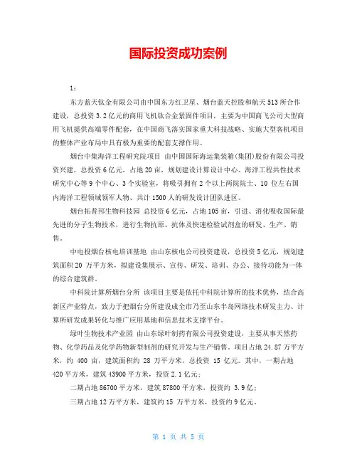 国际投资成功案例