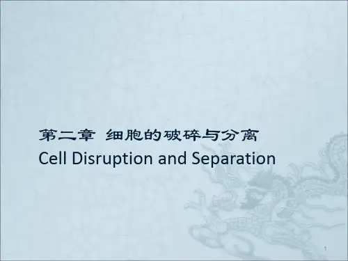 细胞的破碎与分离ppt课件