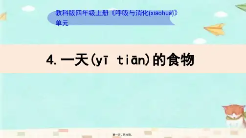 教科版科学四年级上册《一天的食物》