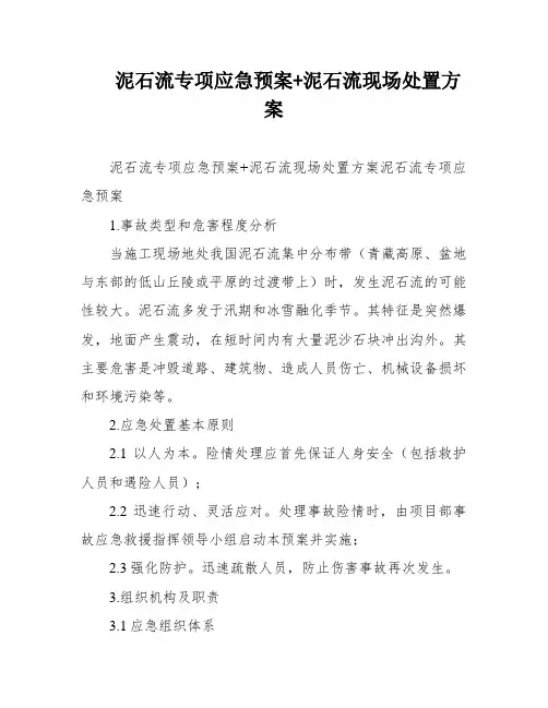 泥石流专项应急预案+泥石流现场处置方案