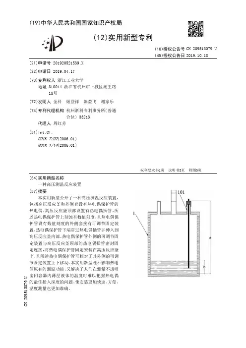 【CN209513079U】一种高压测温反应装置【专利】