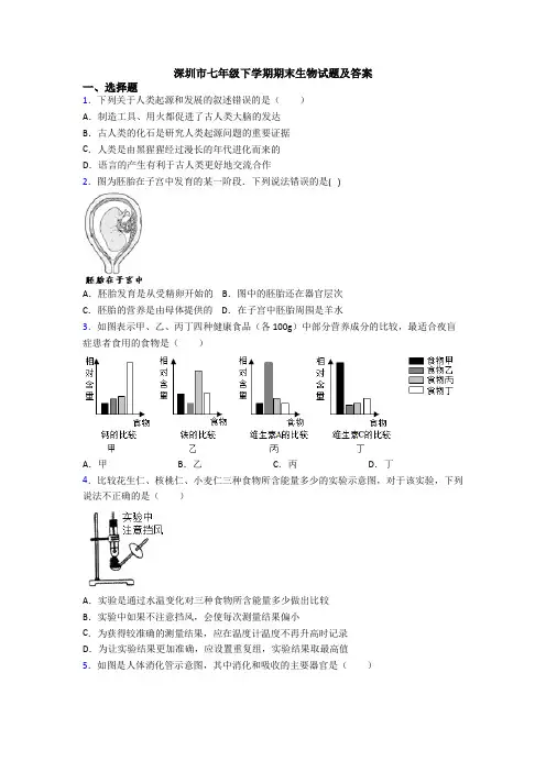 深圳市七年级下学期期末生物试题及答案