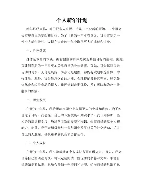 个人新年计划