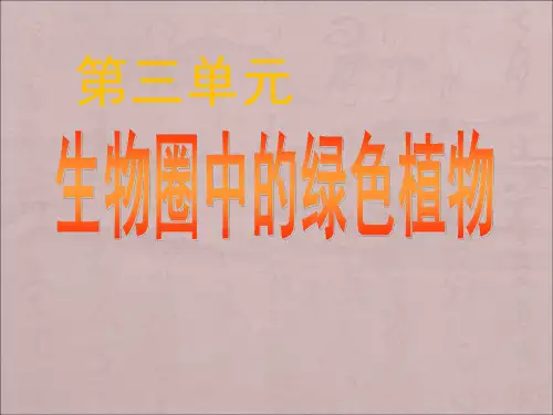 七年级上册生物第三单元   生物圈中的绿色植物