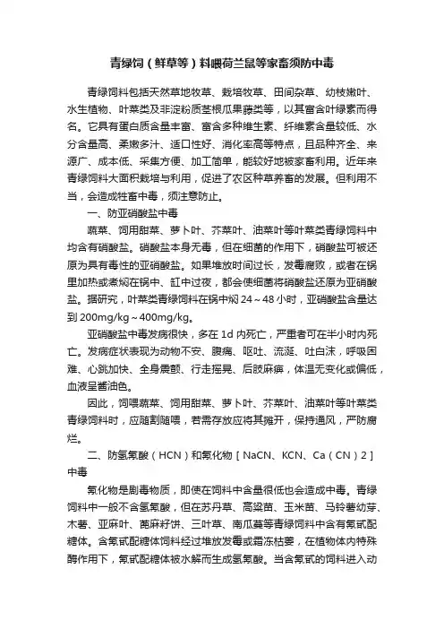 青绿饲（鲜草等）料喂荷兰鼠等家畜须防中毒