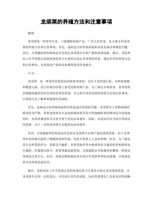 龙须菜的养殖方法和注意事项