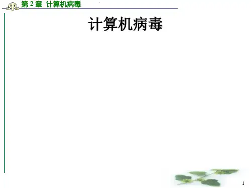 计算机病毒ppt课件