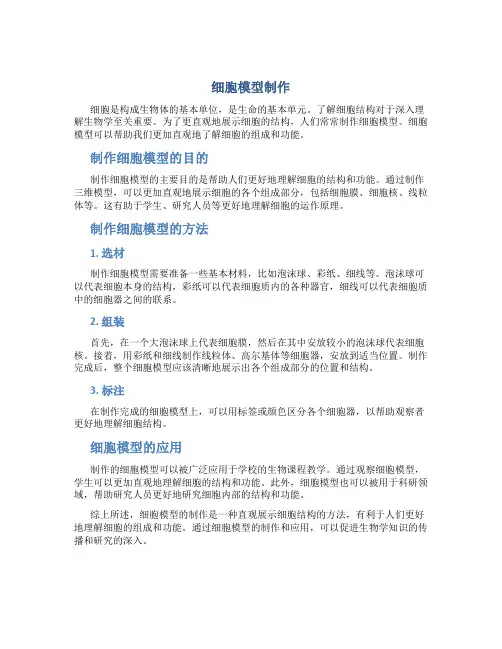细胞模型制作