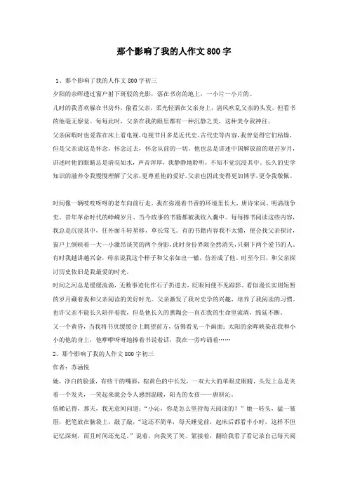 那个影响了我的人作文800字 4