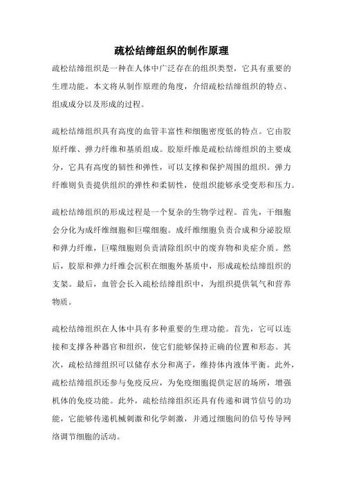 疏松结缔组织的制作原理
