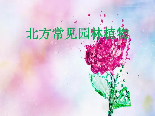 北方常见园林植物(内蒙古为主)解析