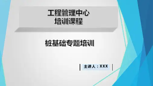 桩基础专题培训
