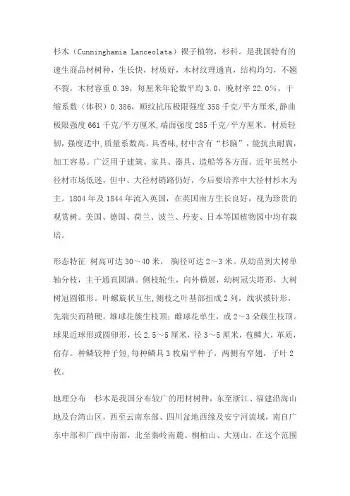 杉木