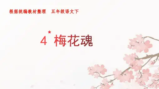 (新)部编版五年级语文下册第4课《梅花魂》优质课件