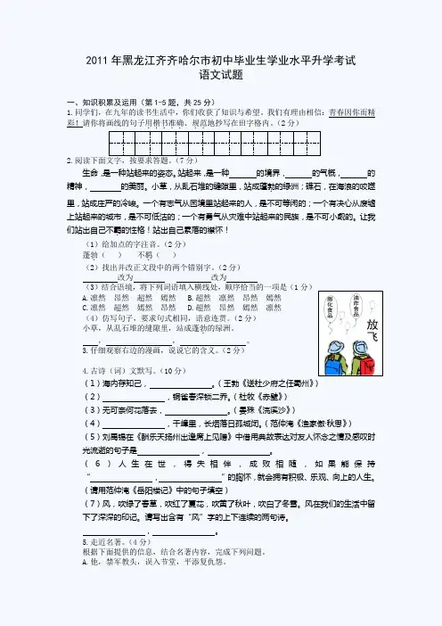 2011齐齐哈尔中考语文试题