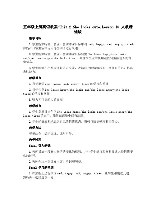 五年级上册英语教案-Unit 2 She looks cute.Lesson 10 人教精通版
