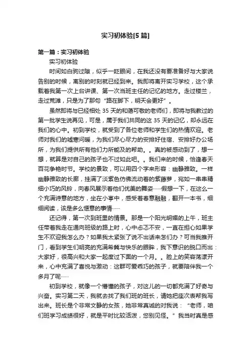 实习初体验[5篇]