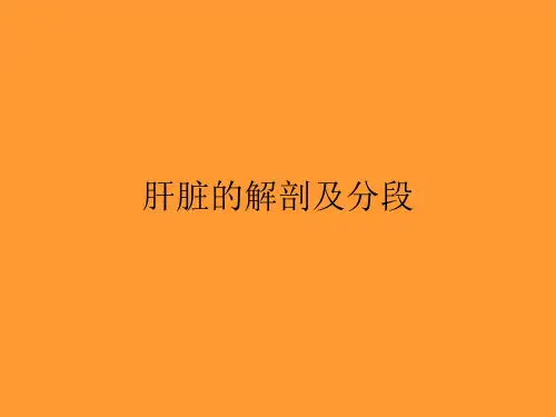 肝脏的解剖及分段PPT课件