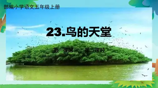 23鸟的天堂 课件(共32张PPT).ppt