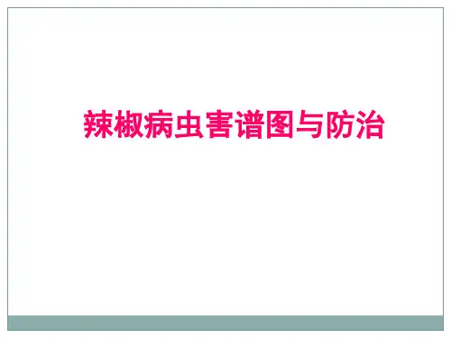 辣椒病虫害图谱与防治