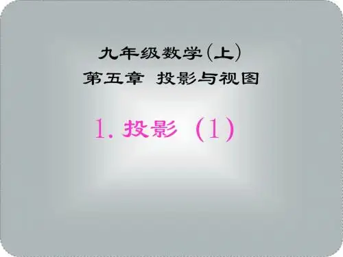 新北师大版九年级数学上5.1《投影》课件(共2课时)