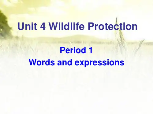 人教版高中英语必修二：Unit 4 Wildlife protection Words and expressions课件(共40张PPT)