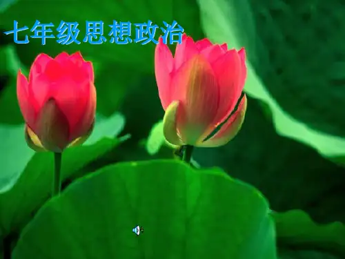 第三课《珍爱生命》—让生命之花绽放PPT课件