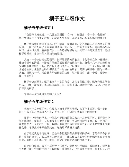 橘子五年级作文