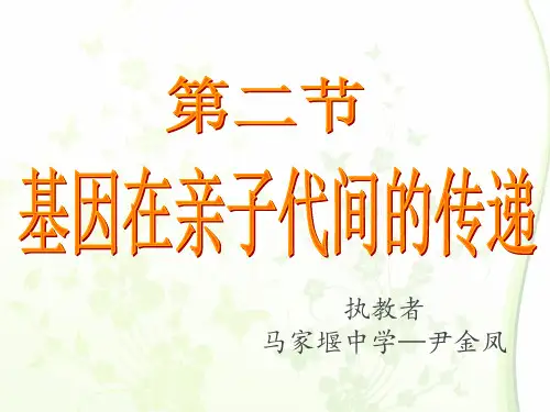 新人教版八年级生物下册 第七单元第二章第二节：基因在亲子代间的传递2(共35张PPT)