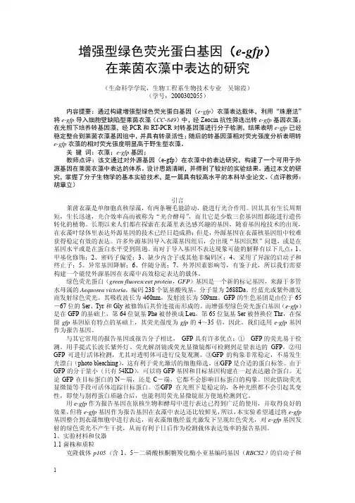 增强型绿色荧光蛋白基因(e-gfp)在莱茵衣藻中表达的研究