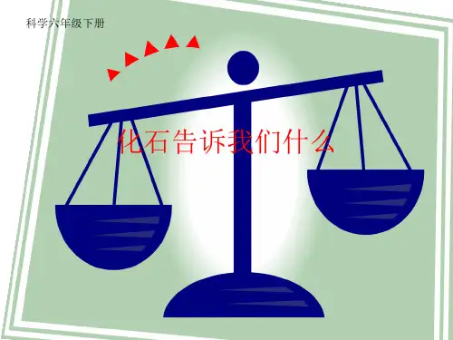小学科学【苏教版】化石告诉我们什么PPT公开课课件1