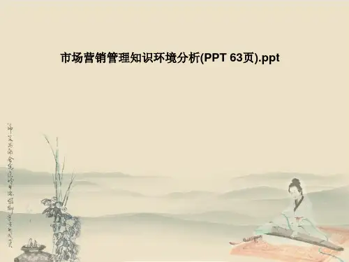 市场营销管理知识环境分析(PPT 63页)