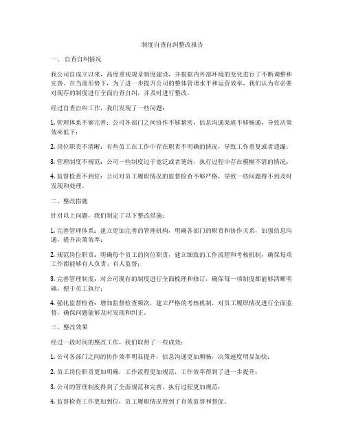 制度自查自纠整改报告