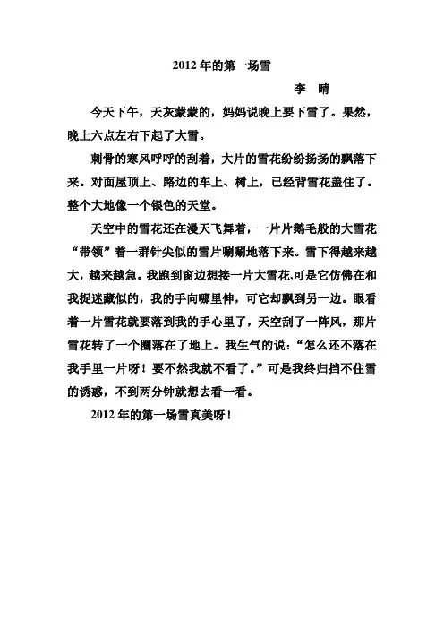 2012年的第一场雪